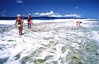 Picnic, Bora Bora