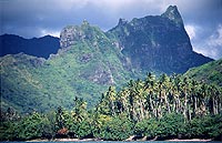 Moutain and Palm Trees, Moorea