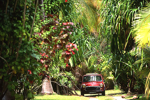 Mini, Moorea