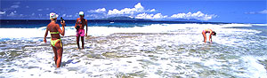 Bora Bora Picnic Tour Tahiti Vacance