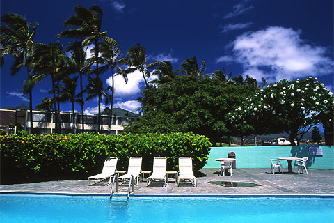 Blue on Blue at Maui Palms Hotel. Kahului, Maui