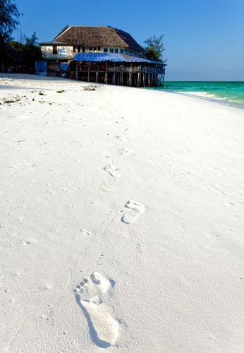 ザンジバルの真っ白な砂浜