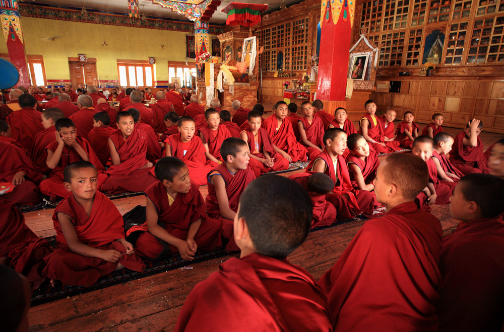 Young Buddhist Monks - Jokhang, Leh, Ladakh