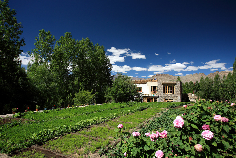 House in Green - Leh, Ladakh