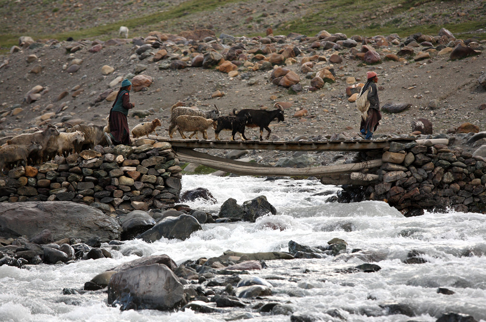 Goats Hurrying Home, Photoksar or Fotoksar