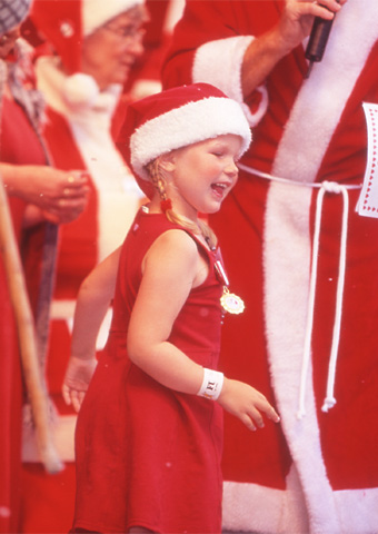 Little Cute Santa Girl