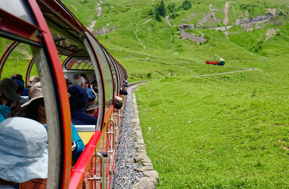 ブリエンツロートホルン鉄道 緑の牧草地