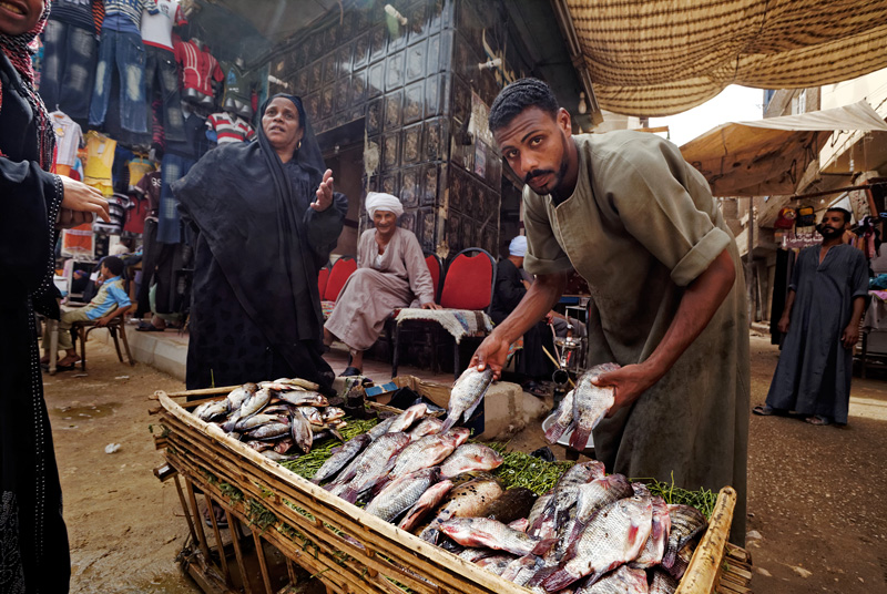 Fishmonger in Luxor