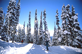 Blackcomb