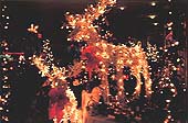 Reindeer in Illumination, Los Angels